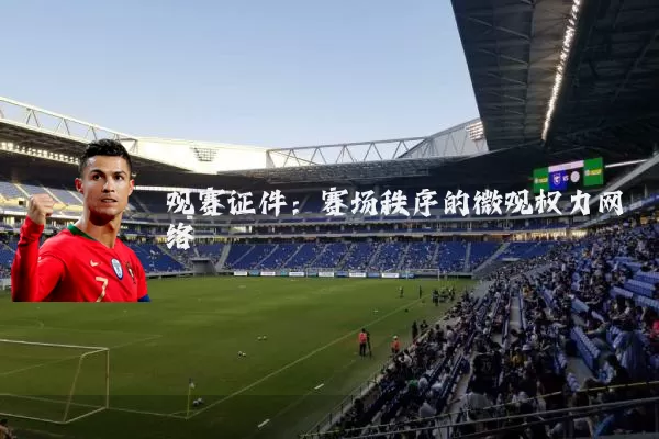 观赛证件：赛场秩序的微观权力网络